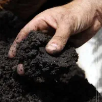 نیروی کار بسته بندی گیاه خاک کنترات