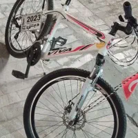 دوچرخه ویوا ۲۶