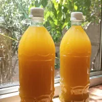 آبغوره تازه همین الان آب گرفتیم ۱۵ لیتر بیشتر نیست