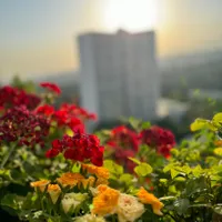 شهرک‌امید / ۱۵۸متر۳خواب / باپارکینگ زیر فول|فروش آپارتمان|تهران, شهرک امید|دیوار