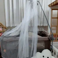 تخت پارک شو