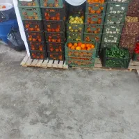 فروش پرتقال آبگیری