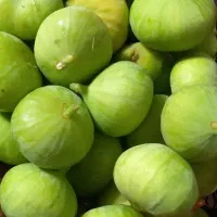 انجیر اعلا