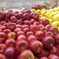 به یک نفر شاگرد ساده در مغازه میوه فروشی نیازمندیم