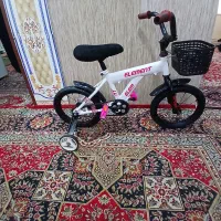 دوچرخه ۱۲