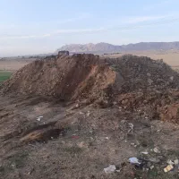 کود حیوانی