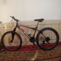 دوچرخه۲۶ ویوا حرفه ای