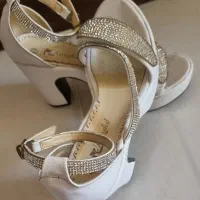کفش مجلسی