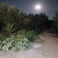 اجاره روزانه باغ ویلا