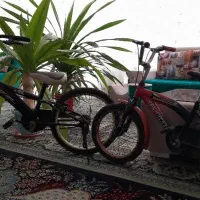 دوچرخه اقتصادی مناسب