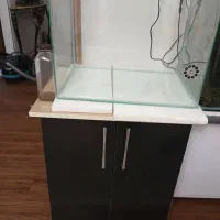 آکواریوم و پایه|ماهی|قزوین, |دیوار