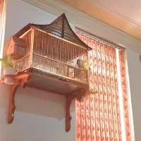 قفس چوبی انواع پرندگان