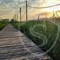 فروش-زمین