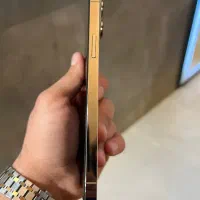 13pro max|موبایل|شیراز, انجیر|دیوار