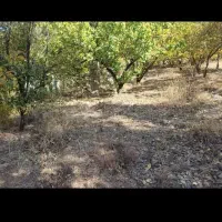 باغچه-500-متری