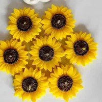 قالب گل|صنایع دستی و سایر لوازم تزئینی|کرج, دولتآباد|دیوار