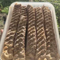 کوبیده مرغ،بوقلمون،گوشت