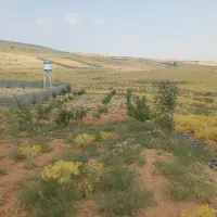 زمین باغ شهری قره چمن با سند رسمی (خانه زنیان)