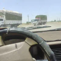 خریدوفروش یونجه بصورت عمده در جیرفت کهنوج
