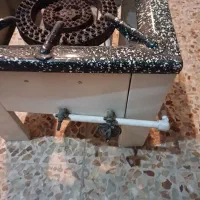 اجاق گاز دو شعله ویژه محرم