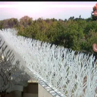 تولیدحفاظ شاخ گوزنی دراستان کرج سرخاب  هشتگرد