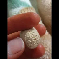مهره عتیقه
