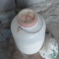 خسه دوغ گاو
