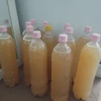 آبغوره عسگری تمیز بهداشتی