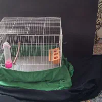 قفس پرنده