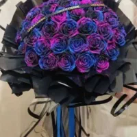 گل ربانی در همه رنگ طرح تعداد زیر قیمت با اشانتیون