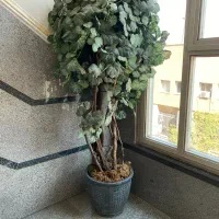 درختچه مصنوعی دکوراتیو