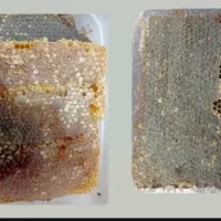 عسل آذربایجان