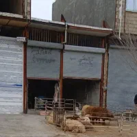 مغازه جعفرآباد