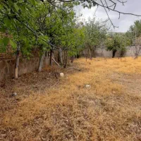 زمین ۴۷۳ متری ویلایی آینه ورزان سند تک برگ