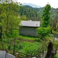 ویلای جنگلی منطقه بکر در گیلان