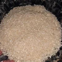 برنج طارم هاشمی .برنج فجر .سرلاشه طارم .لاشه طارم