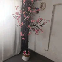 درختچه
