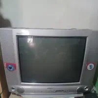 تلوزیون