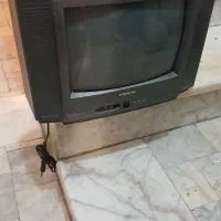 تلویزیون