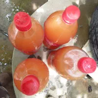 سلام ابغوره درجه یک عسکری با قیمت مناسب