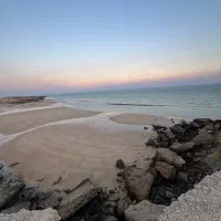 تور ماهی بزرگ