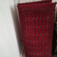 دو جفت پشتی