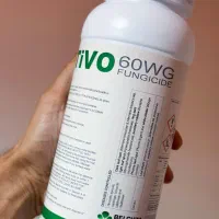 خرید قارچ کش ناتیوو برای بلاست، سفیدک سطحی،