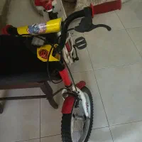 گربه بریتیش