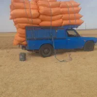 کاه گندم دیم نرم و سبک مناسب مصرف کننده قیمت مناسب
