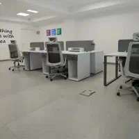 جویای کار خانم