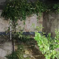 رهن حیاط ویلایی شهرک بهارستان فجر