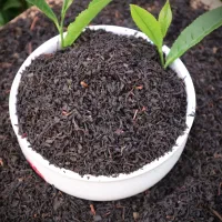 چای اصل لاهیجان سرگل بهاره