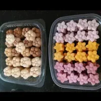 قندو نبات فانتزی گیاهی