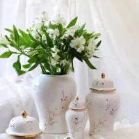 جینجر جار ۳ تیکه